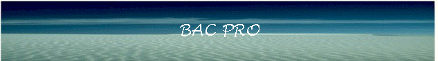 BAC PRO
