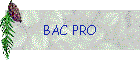 BAC PRO