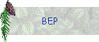 BEP