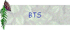 BTS